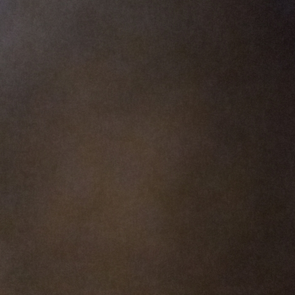 Meet your Posher, Skyy - Picture 1 of 1